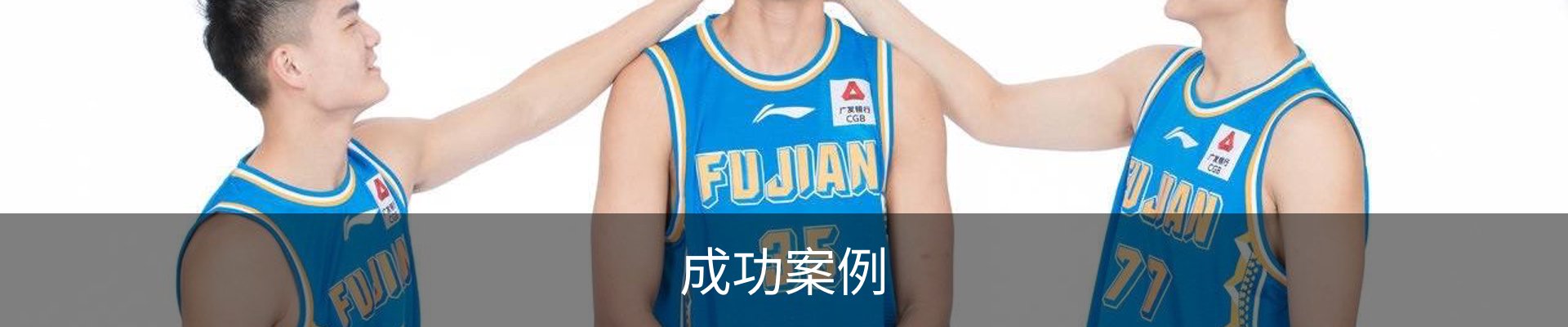 成功案例